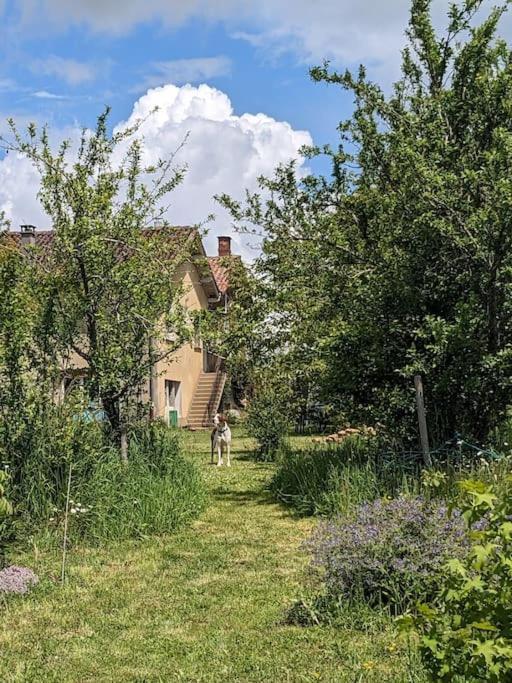 Relax In The Haute Vienne. Sereilhac Exterior foto